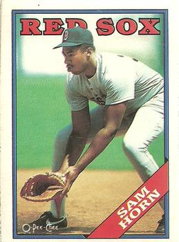 1988 O-Pee-Chee Baseball Cards 377     Sam Horn RC